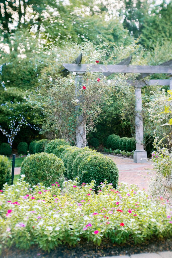 Garden alley with flowers and plants