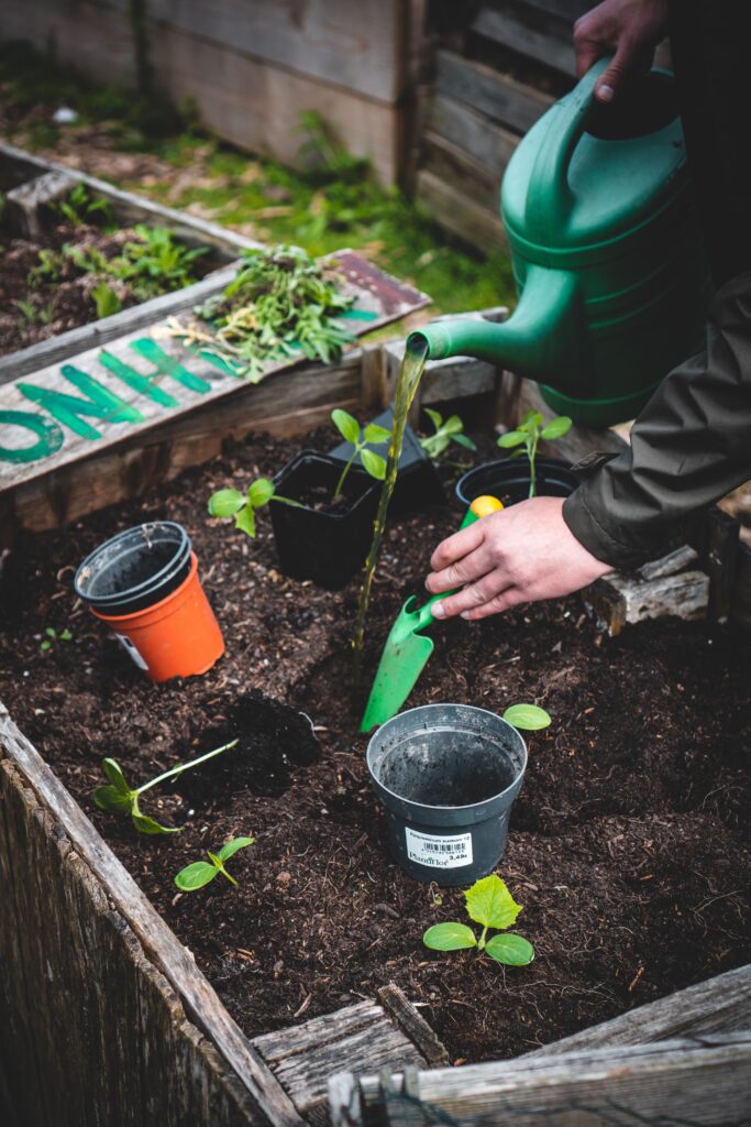 do it yourself vegetable garden